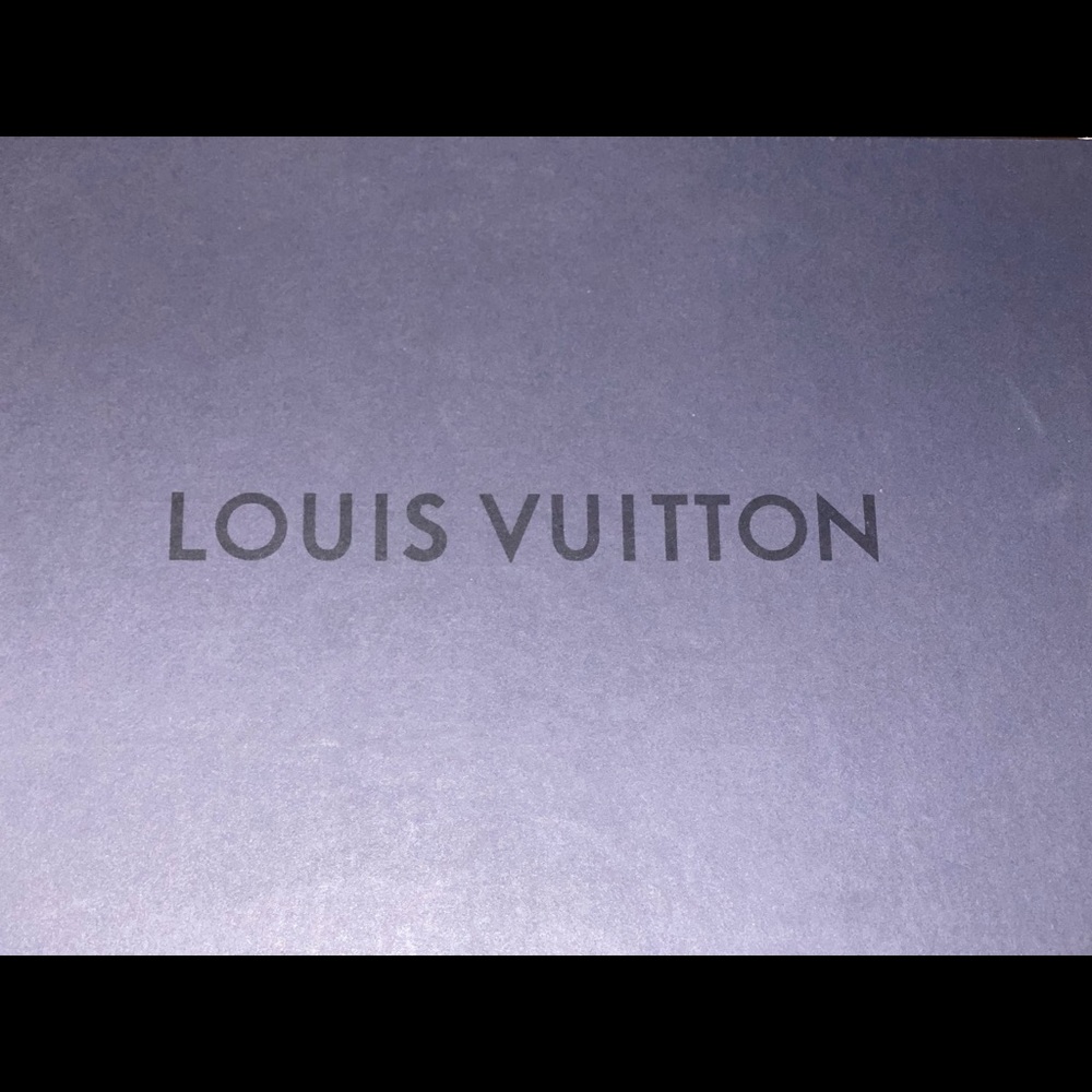 Louis Vuitton fast lane sneakers size 7 men